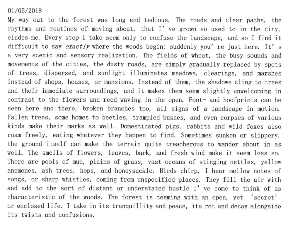 Artefact A3
