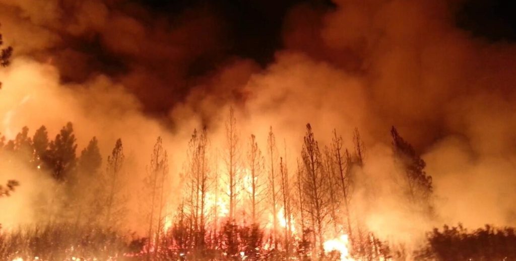 Fuld skovbrand, Californien, foto taget af U.S. Department of Agriculture